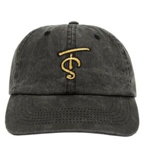 TAYLOR SWIFT WASHED GRAY DAD HAT